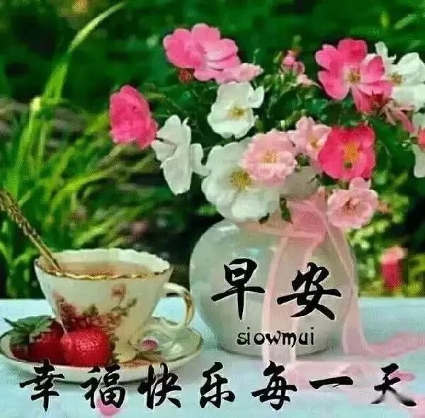 夏季早上好 天热了最漂亮的早上问候语图片表情大全