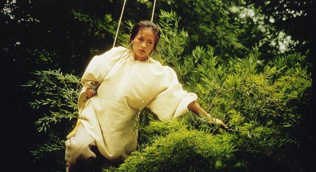 电影《卧虎藏龙》开拍20年 一部真正有文化的动作经典