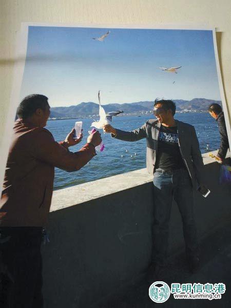 游客抓海鸥摄影 被保安防止后摔断海鸥同党