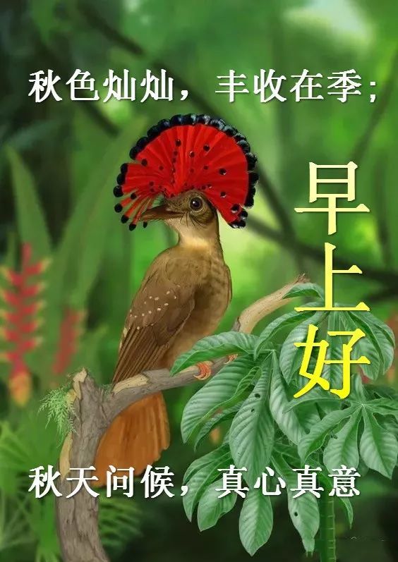 问候周末早上好的祝福语大合集 早上好图片动态的表情