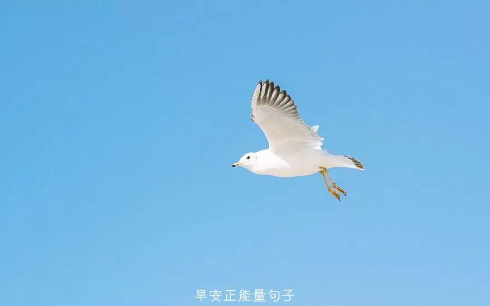 登高望远,不是为了被整个世界看到,而是为了看到整个世界. 早安