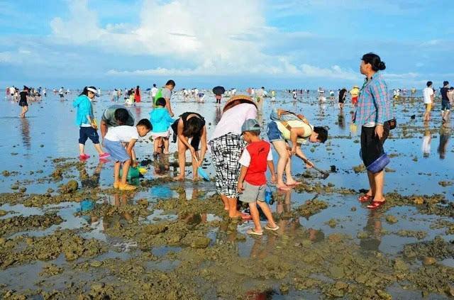 大连赶海攻略,附大连潮汐表及赶海地点推荐