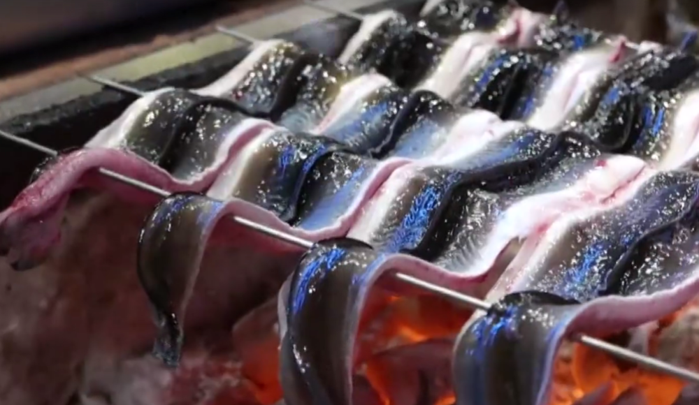 日本人对鳗鱼下"狠手",切片放烤架上烤,配上米饭吃掉!