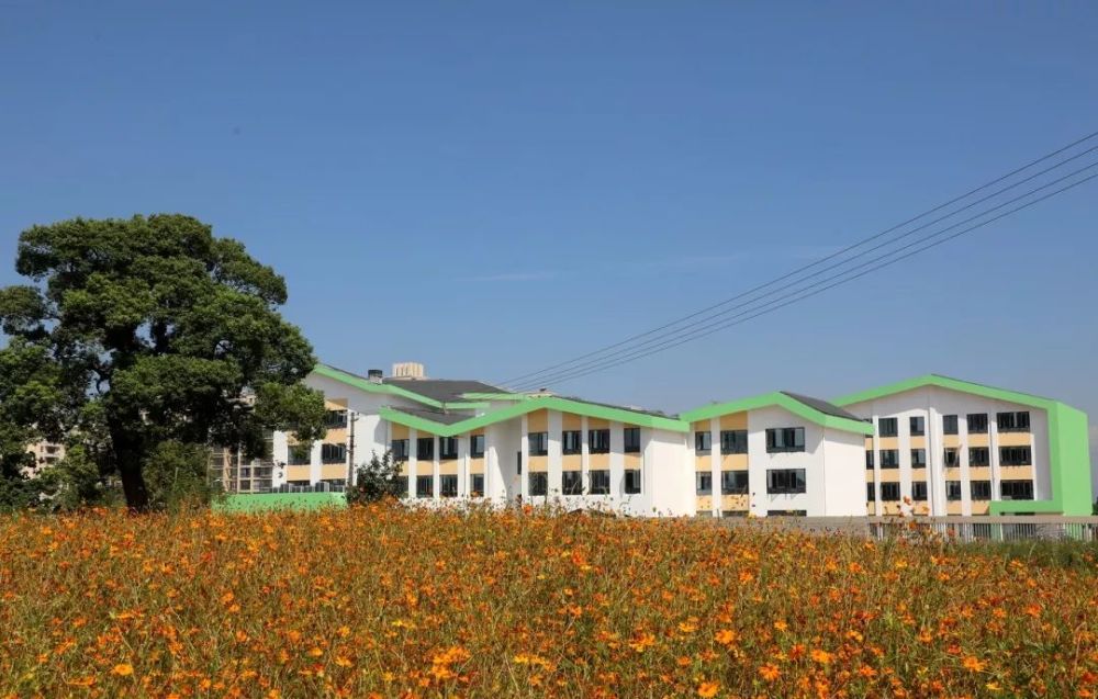 衢江区新增5所新学校,一起来看看!