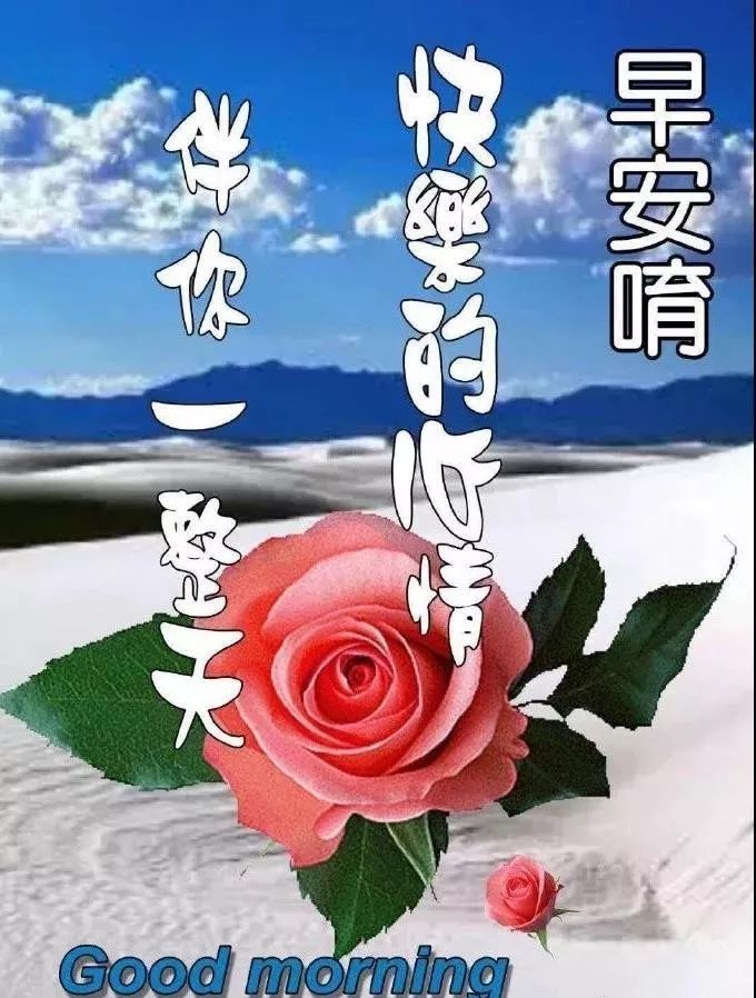 2022年1月30日非常漂亮的早安问候祝福语动态美图最美早晨好问候图片