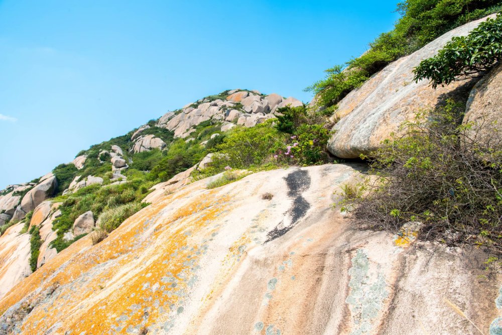 图片日志:洋山岛,石龙飞,巨轮行