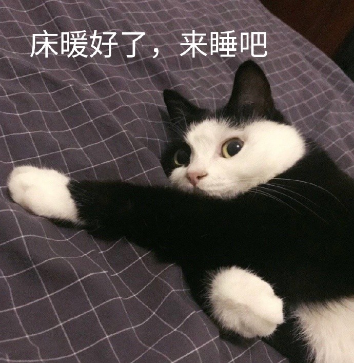 斗图搞笑表情包:笑到模糊