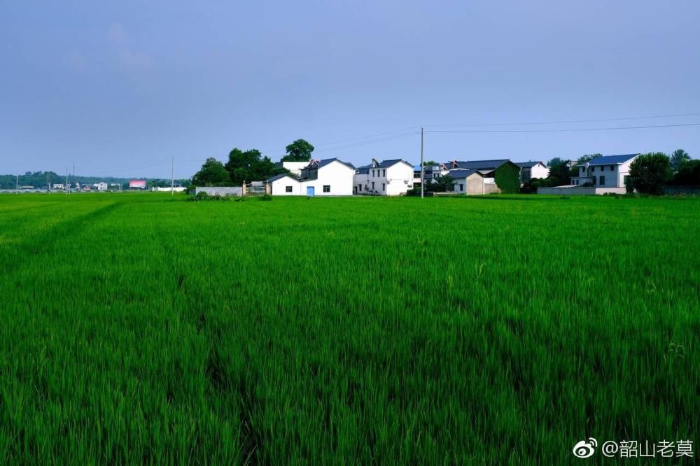 陶艺之乡的乡村|家乡盈科：数字游牧项目的广昌篇——可以回溯的家乡，看得见的未来