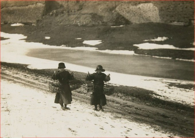 1930年代的满州,闯关东的山东人在此扎根,建起庞大院落