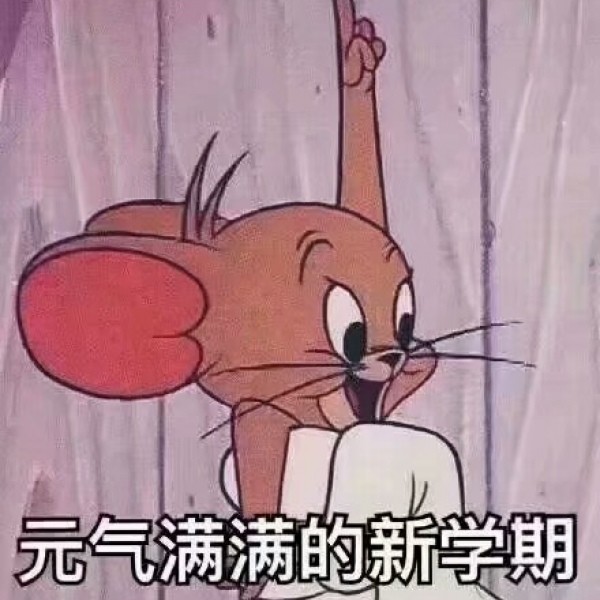 猫和老鼠搞笑表情包合集:元气满满的样子,就要认真