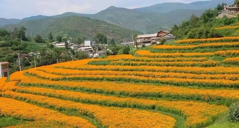 姚安花花火炎焱燚……"出圈"!