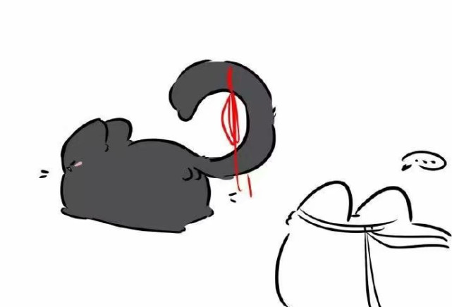 漫画图片:两只猫咪的对话,有点儿意思