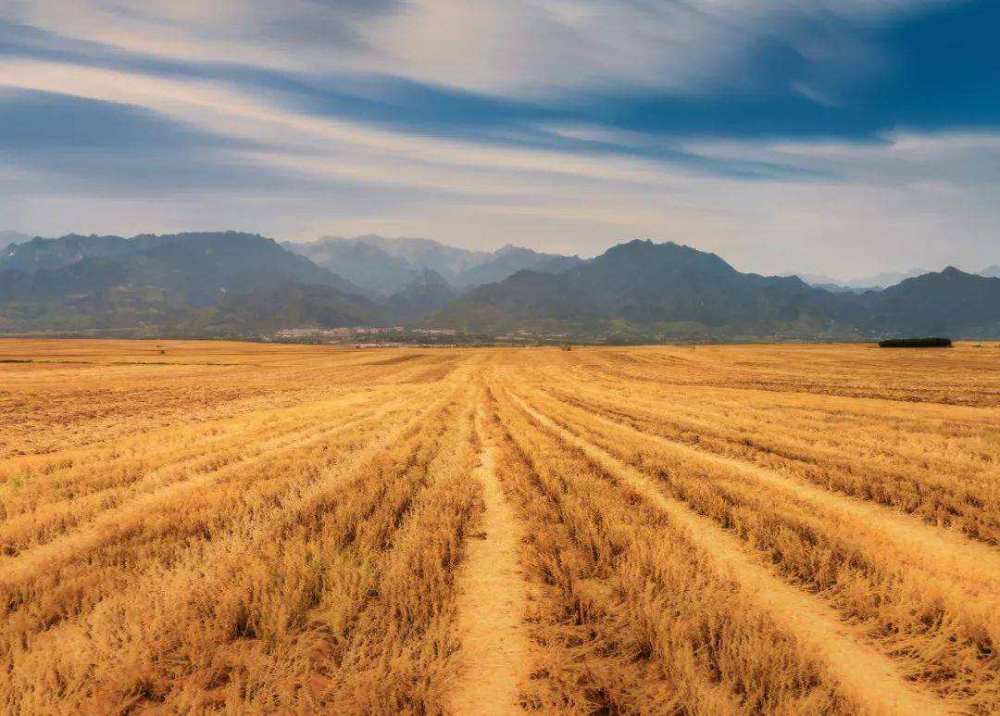 《史记·留侯世家》中记载的