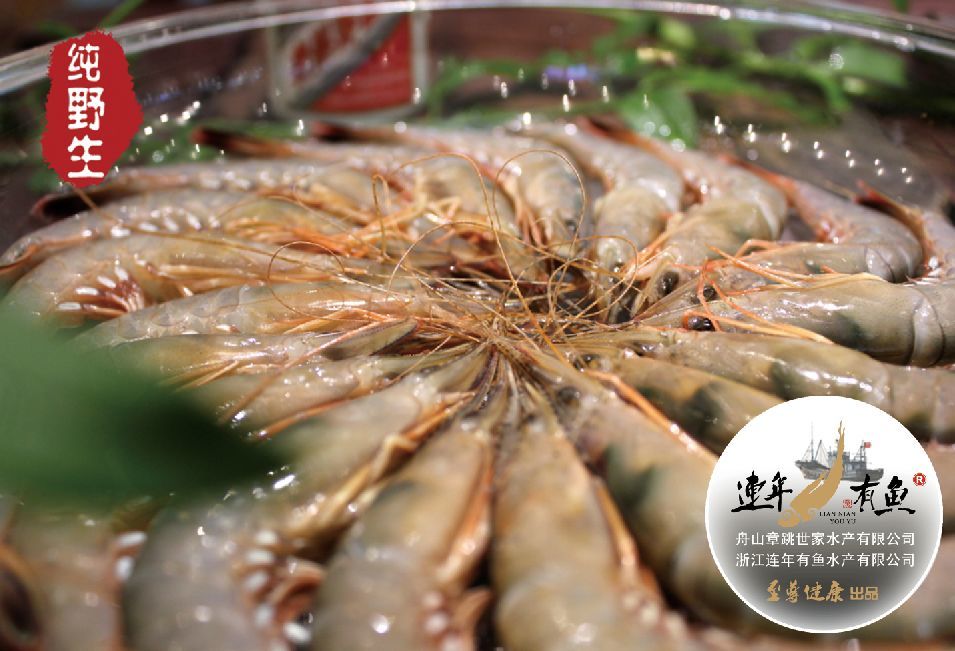 中华管鞭虾