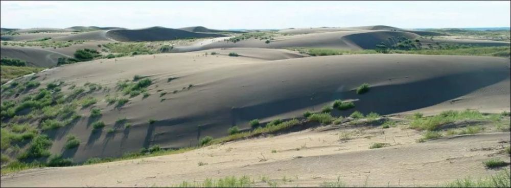 科尔沁沙地沙丘