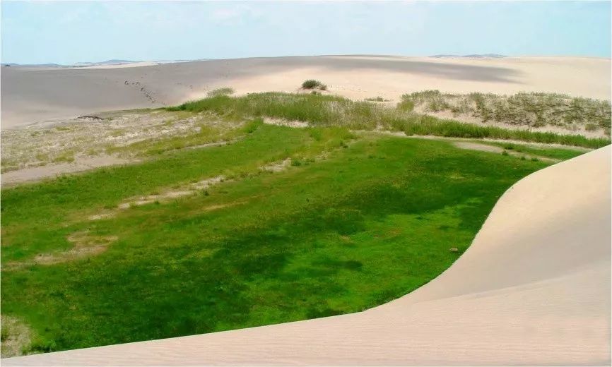 丘间地——沙地中的"生命岛"