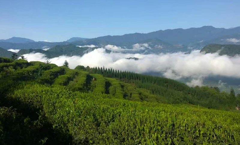 山水彝乡,秀美马边,最炽烈的小凉山风情都在这里