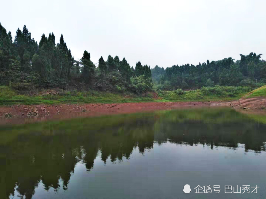 自贡木桥沟水库富顺县生活用水源风景秀丽禁止垂钓和游泳