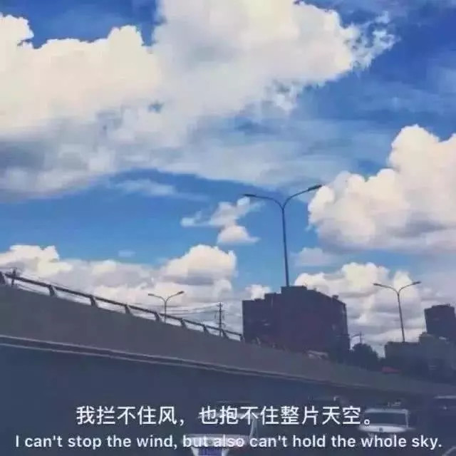 ins·原宿风·背景图:我拦不住风,也抱不住整片天空