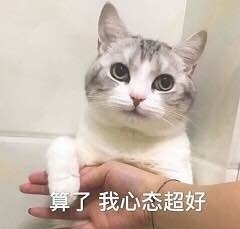 猫咪表情包:小脾气上头