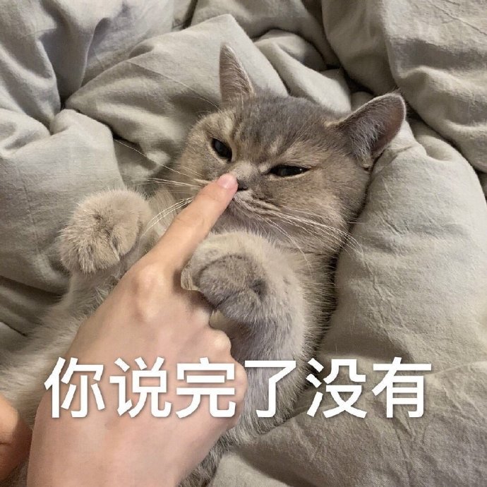 猫咪表情包:小脾气上头