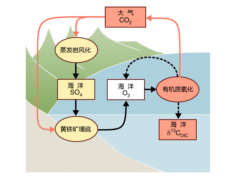 2亿年前后,大气和海洋的氧气含量迅速飙升,原因何在?