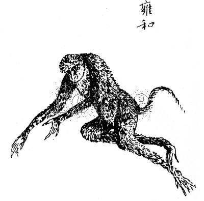 史上最全上古神兽山海经神异经119种神兽图多慎入