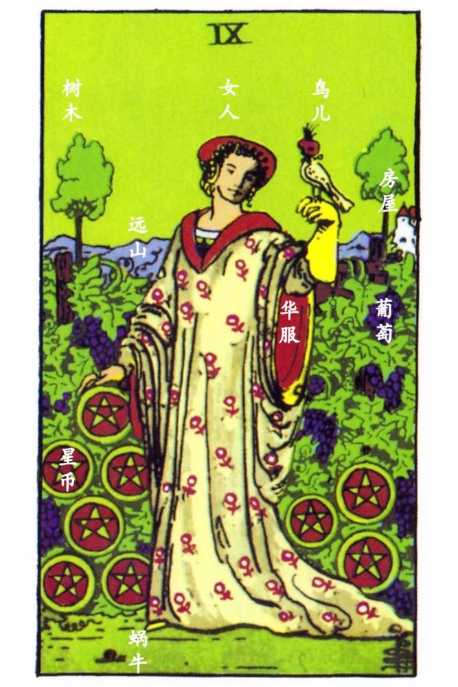 仔细观察塔罗牌星币九的牌面,根据你的感觉,去描述牌面中所出现的九个
