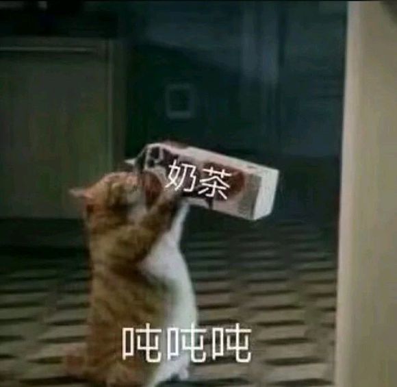 可爱猫咪搞笑表情包:捂住耳朵,就不会有悲伤!