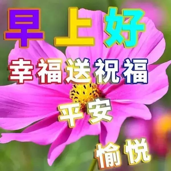 夏季早上好 天热了最漂亮的早上问候语图片表情大全