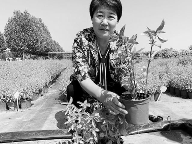 在大棚房整治的过程中,曹玉美经营的600亩万花园曾是北京东部地区著名