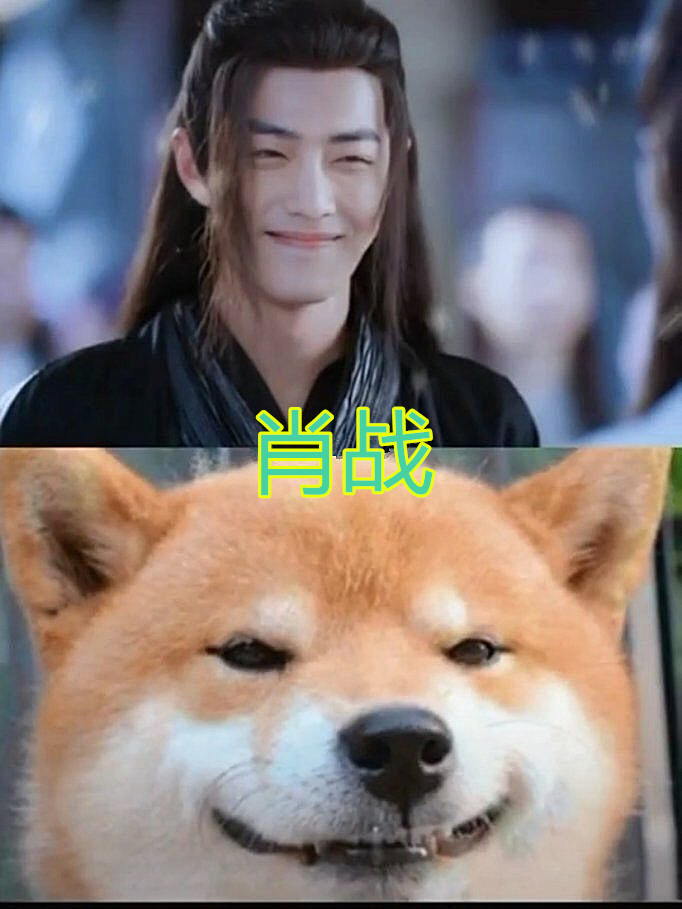撞脸柴犬谁最像李现的可爱肖战的温柔都抵不上他的邪魅一笑