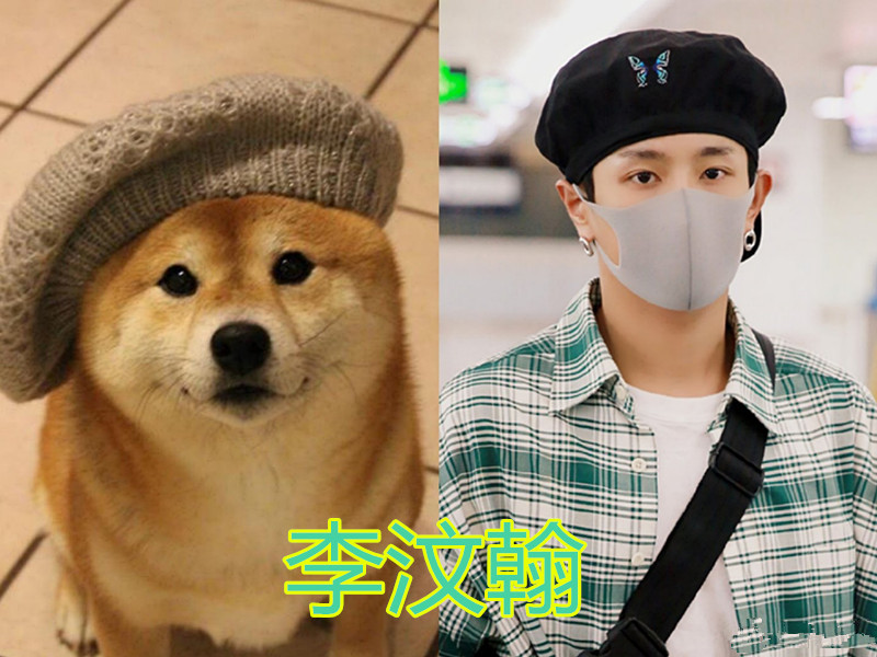 撞脸柴犬谁最像李现的可爱肖战的温柔都抵不上他的邪魅一笑