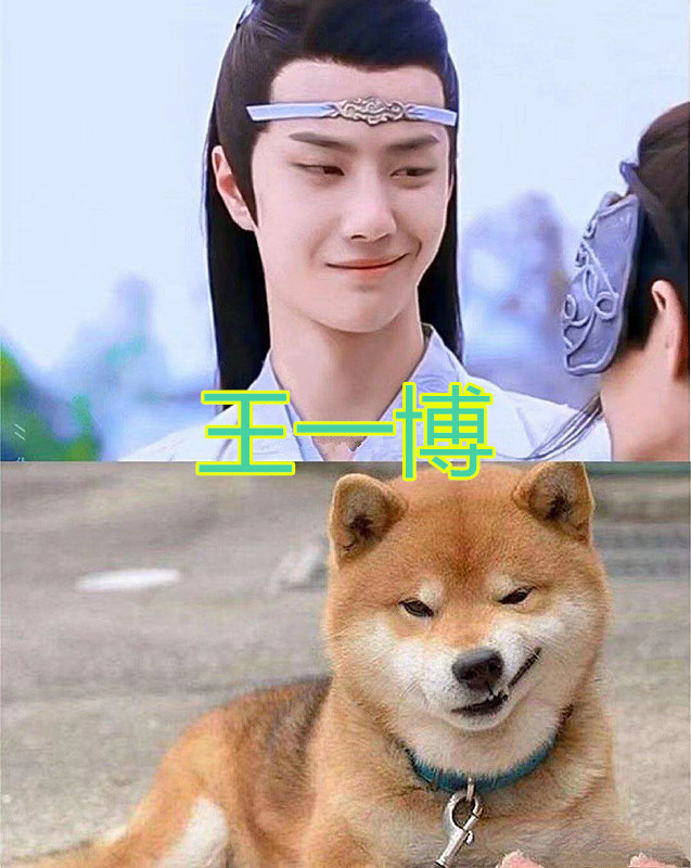 撞脸柴犬谁最像李现的可爱肖战的温柔都抵不上他的邪魅一笑