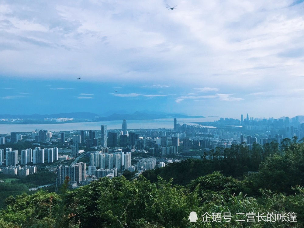 这里不是针对游客的旅游景点,是深圳市民锻炼身体的地方……如果就住