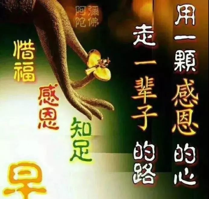 2021清晨最暖心的早安问候祝福语,最美早安祝福语动态