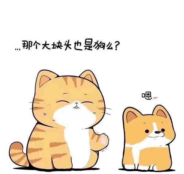 漫画橘猫好喜欢这个黄色小猫咪萌到我了