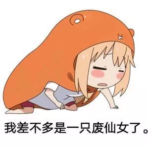 合集| 干物妹小埋表情包