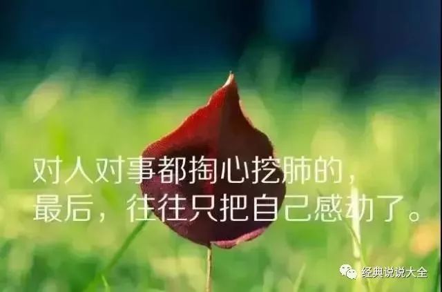 2019唯美的心灵鸡汤,发朋友圈很有文采!