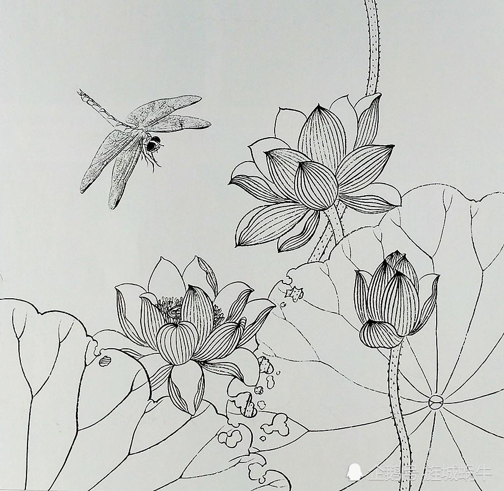 工笔小画花卉线描稿,值得分享