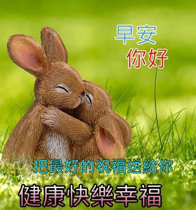 朋友圈早上好问候祝福语录句子,新的一天天冷问候早上