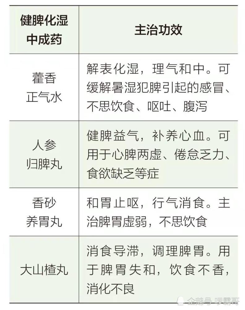 脾虚但是食欲旺盛 腾讯网