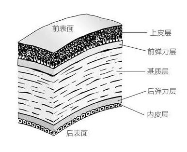 瘦小腿手术是采用什么原理_幸福是什么图片(3)
