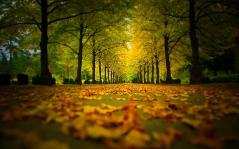走在秋天的小路上太美了