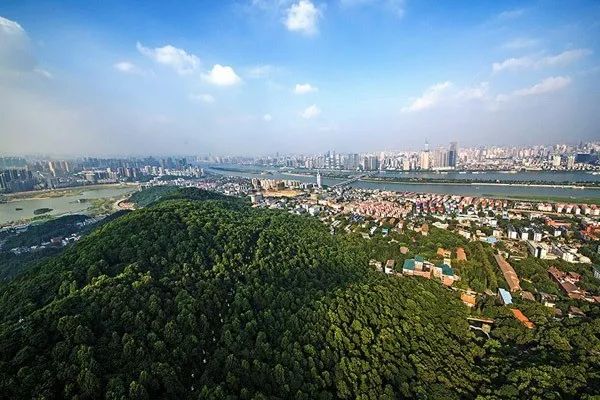 岳麓山全景   /图:岳麓区政府网