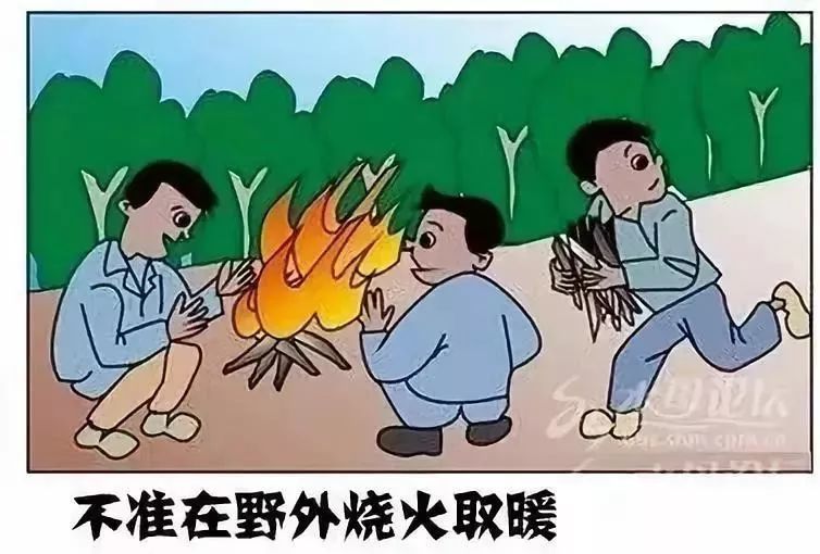 【护林防火专项整治】森林草原防灭火小知识