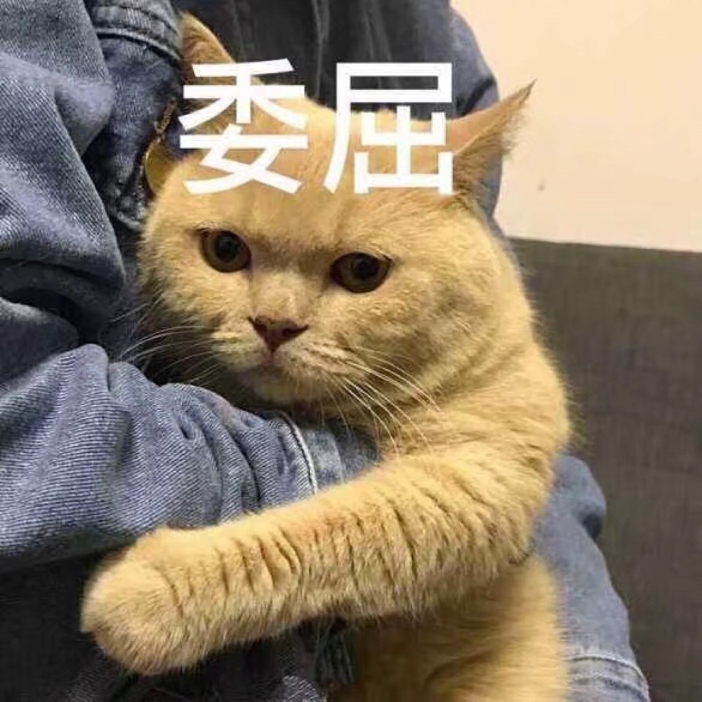 可爱猫咪搞笑表情包:我真的很委屈!