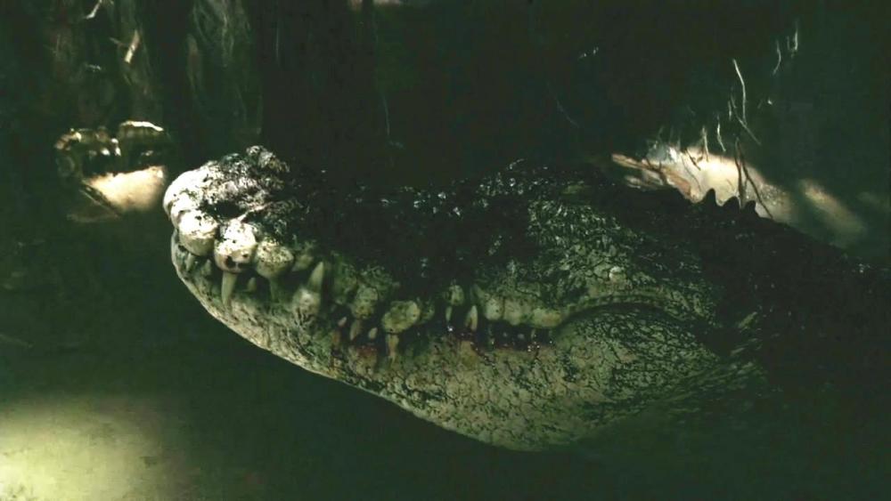 最新鳄鱼大片来袭5部不容错过的鳄鱼电影你都看过吗