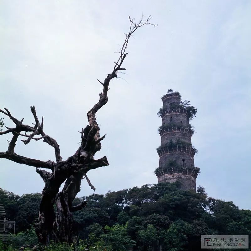 潮州江东的一座破塔却承载着多么多的历史