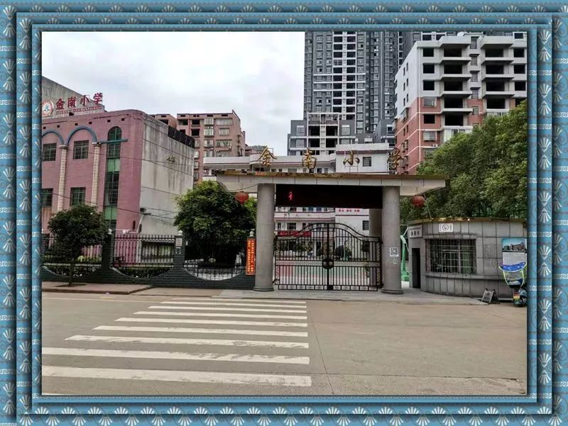 南小学:12,前进小学:11,城北学校:10,聂洲小学:9,金星小学:8,金杯小学